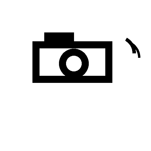 Remote Video Monitoring